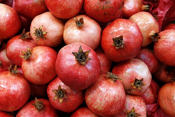 نمک برای درخت انار